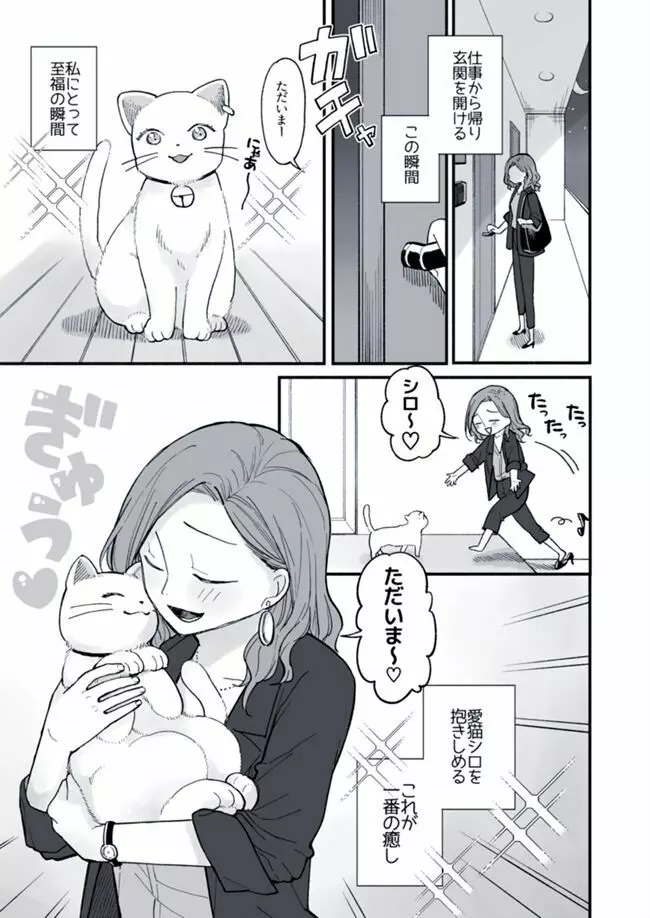 OLのお姉さんとネコの話