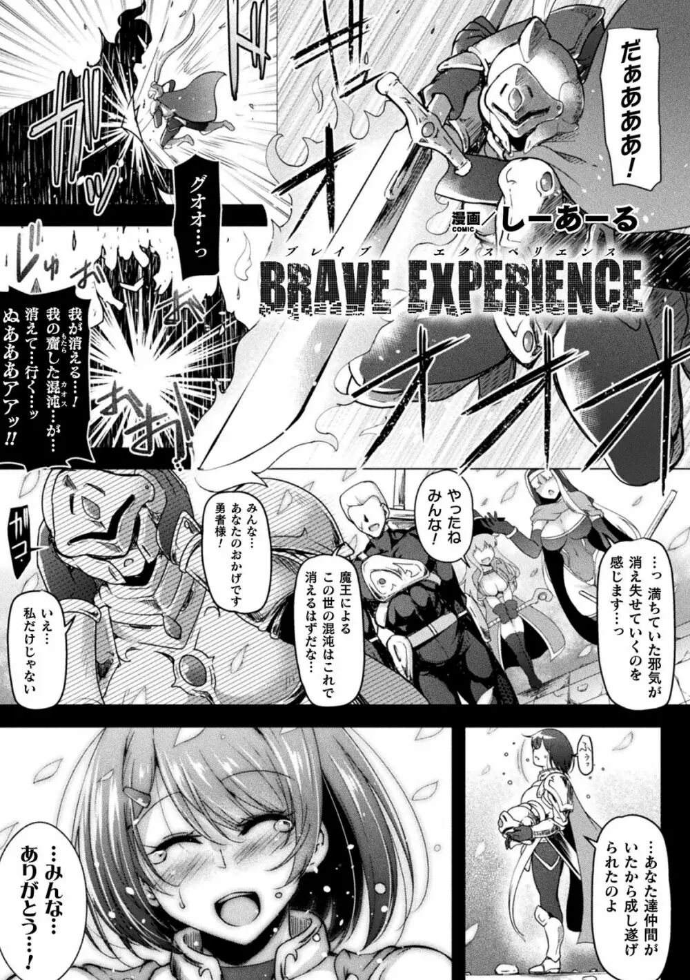 BRAVE EXPERIENCE