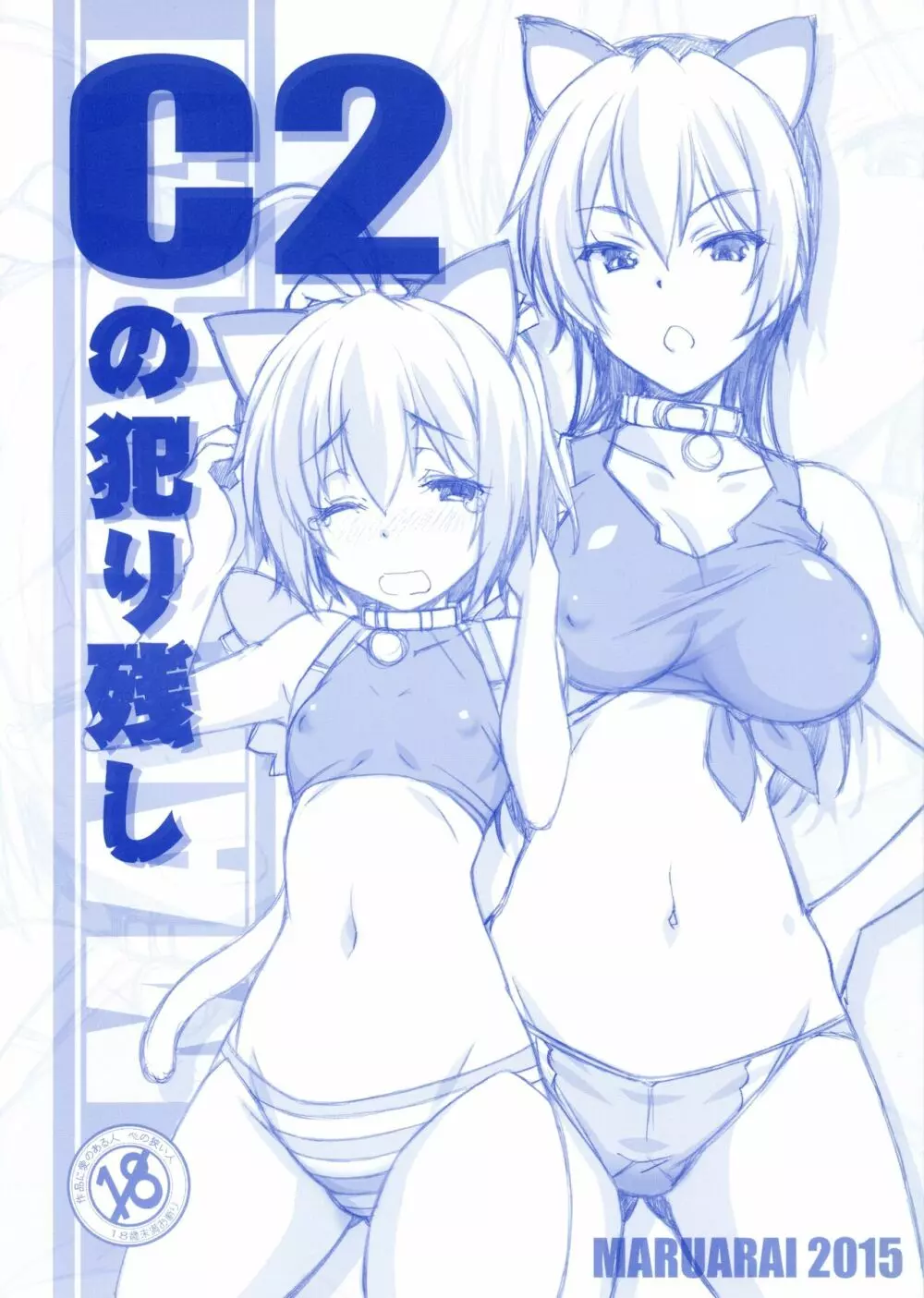 C2の犯り残し